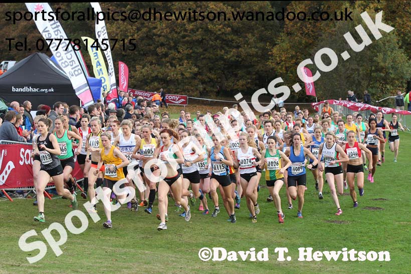 Senior womens National Cross Country Relays. Photo: David T. Hewitson/Sports for All Pics
